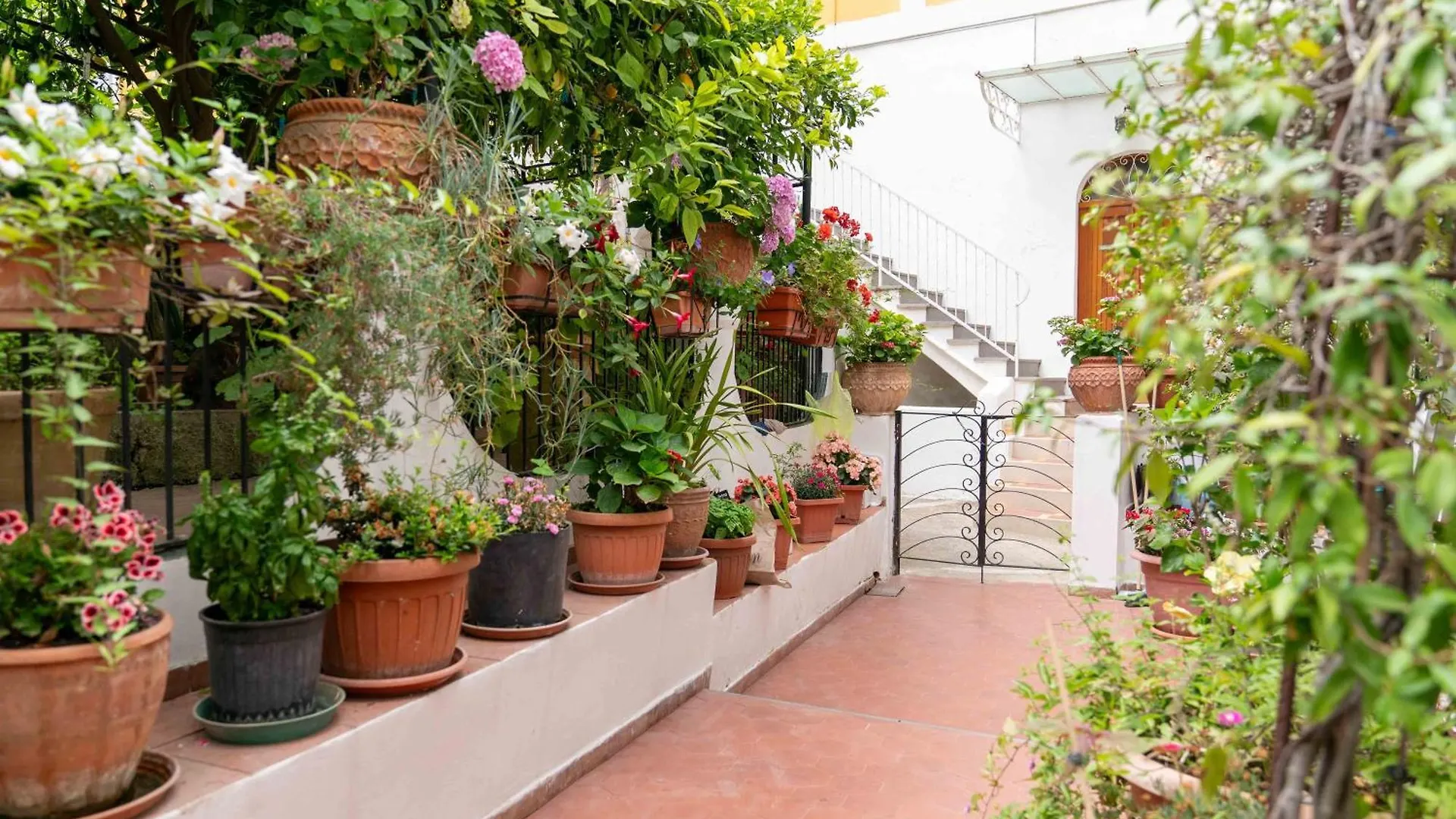 Il Gatto Franco Apartment Amalfi 0*,  Italy